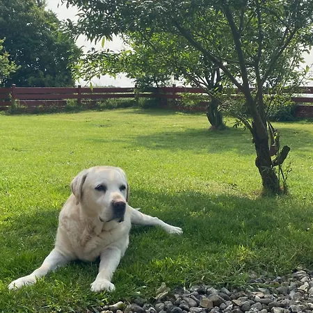 Brunos Haus Emmelsbüll-Horsbüll