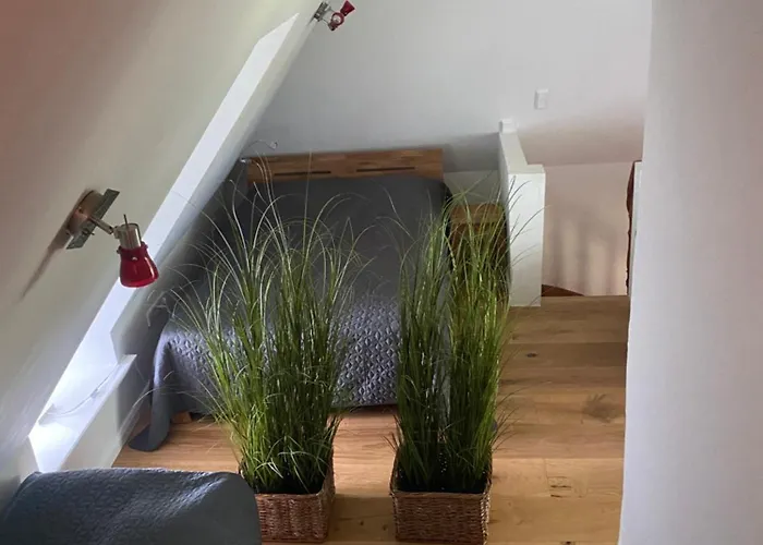 Brunos Haus Vakantiehuis *